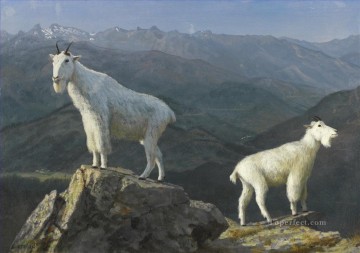 Animal Painting - CABRAS MONTESAS Animal americano Albert Bierstadt